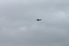 1000193674-scaled