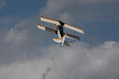 MG_1551